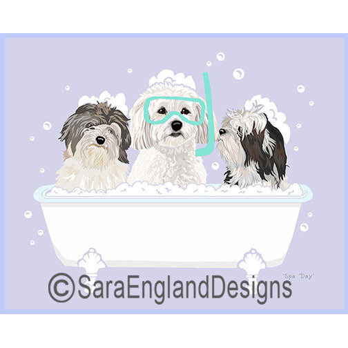 Spa Day - Two Versions - Havanese