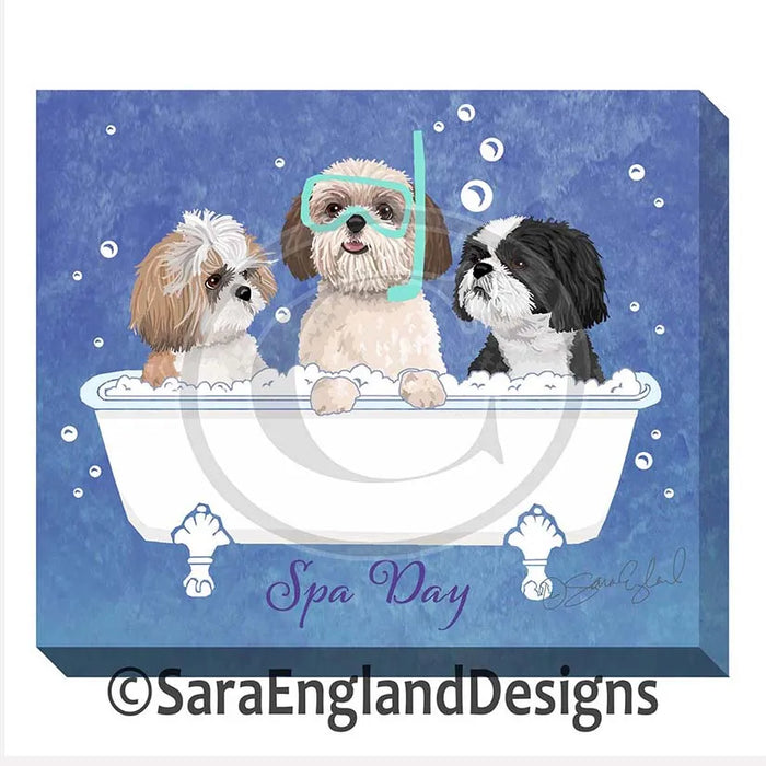 Havanese - Spa Day - Two Versions - Two