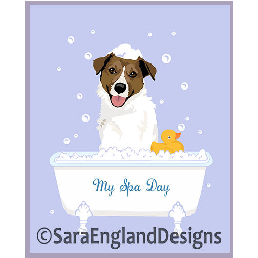 Jack Russell Terrier - My Spa Day