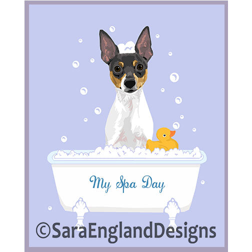 Toy Fox Terrier - My Spa Day