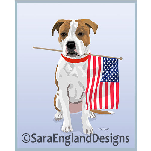 American Staffordshire Terrier - Patriot