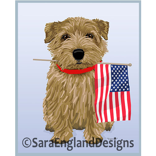 Norfolk Terrier - Patriot Tan