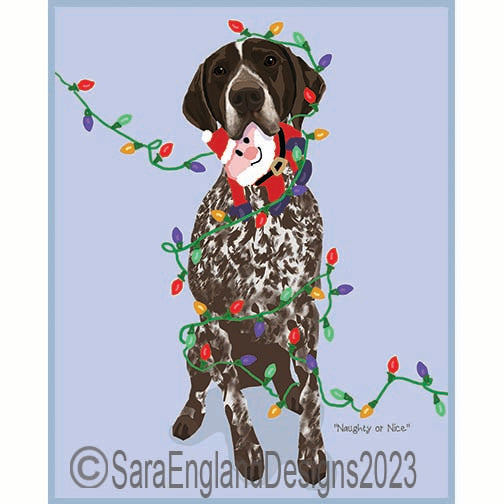 German Shorthaired Pointer - Naughty