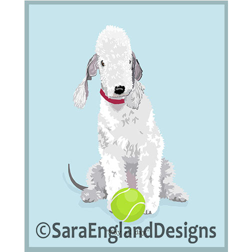 Bedlington Terrier - Play All Day