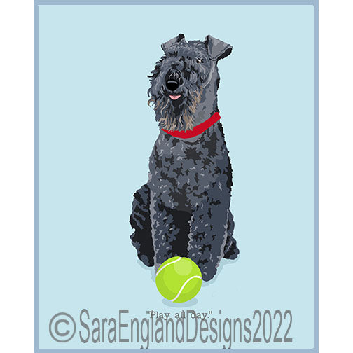 Kerry Blue Terrier - Play All Day