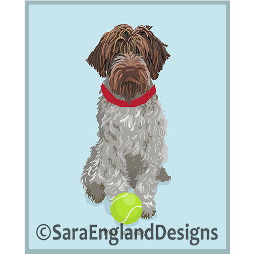 Wirehaired Pointing Griffon - Play All Day