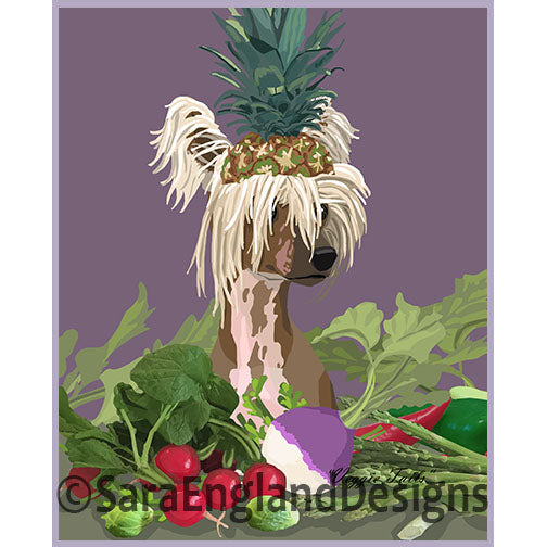 Chinese Crested - Veggie Tails