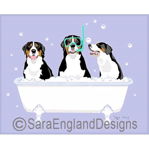 Greater Swiss Mountain Dog - Spa Day