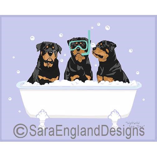 Rottweiler - Spa Day