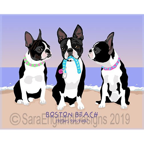 Boston Terrier - Collars Optional
