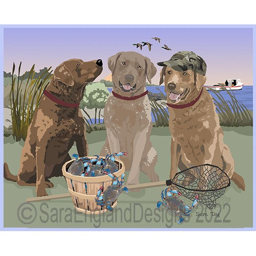 Chesapeake Bay Retriever -  Shore Dogs