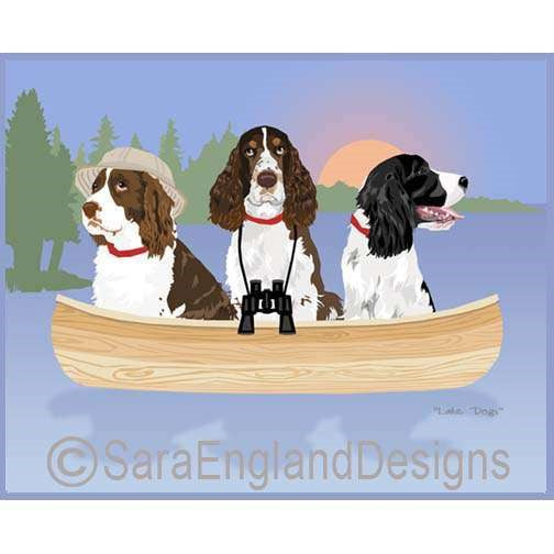 English Springer Spaniel - Lake Dogs