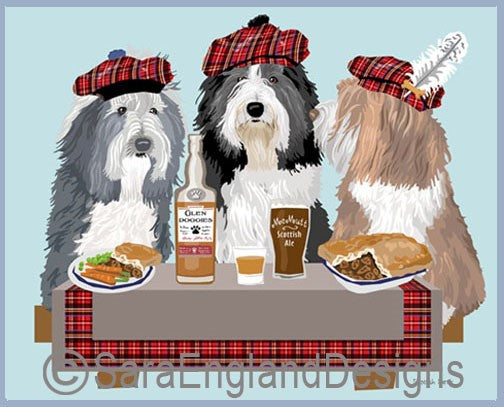 Bearded Collie - Scottish Party