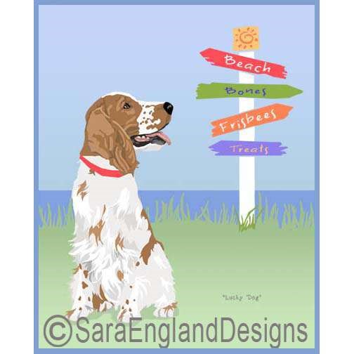 Welsh Springer Spaniel - Lucky Dog