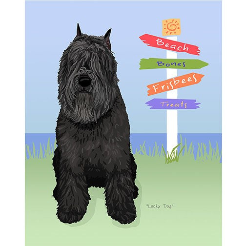 Bouvier - Lucky Dog - Three Versions - Cropped
