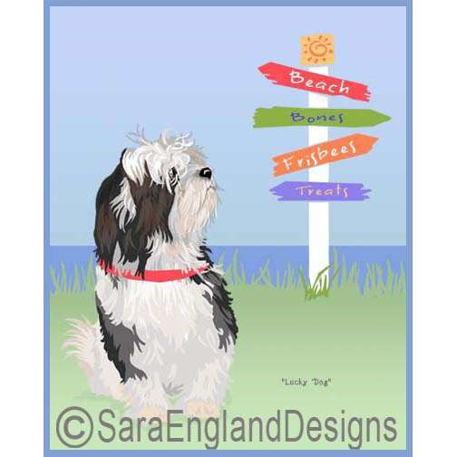 Havanese - Lucky Dog - Two Versions - One