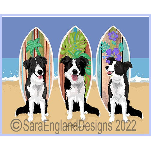 Border Collie - Surf Doggies