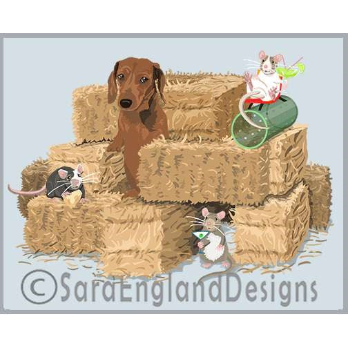 Dachshund-Smooth - Barn Hunt - Two Versions - Red