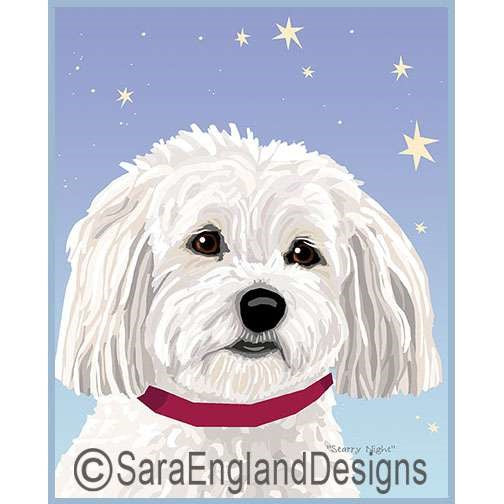 Havanese - Starry Night - Two Versions - Puppy