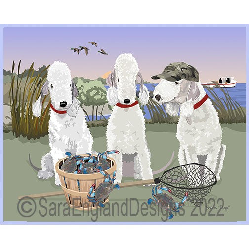 Bedlington Terrier - Shore Dogs