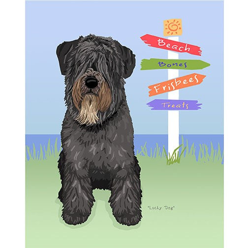 Bouvier - Lucky Dog - Three Versions - Natural