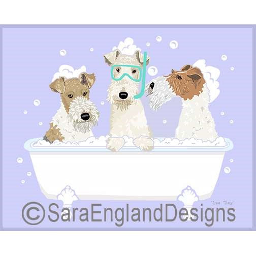 Fox Terrier-Wire - Spa Day