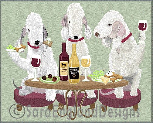 Bedlington Terrier - Dogs Wineing