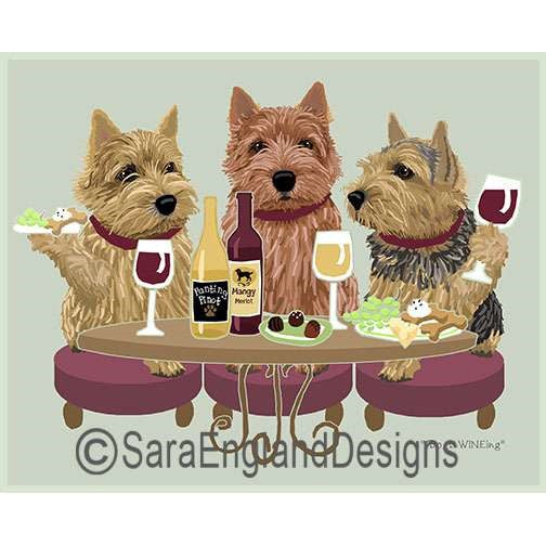 Norwich Terrier - Dogs Wineing