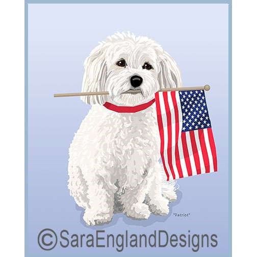 Havanese - Patriot - Two Versions - Two