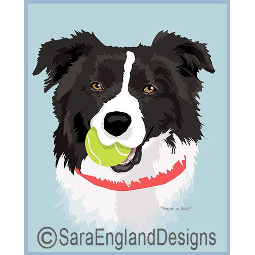 Border Collie - Have A Ball