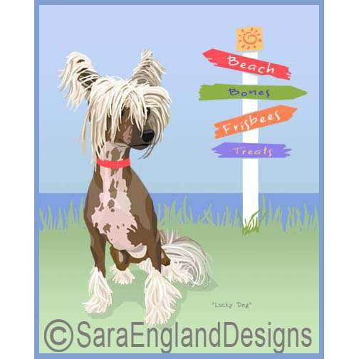 Chinese Crested - Lucky Dog