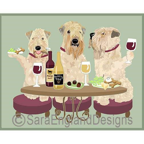 Soft Coated Wheaten Terrier - Dogs Wineing