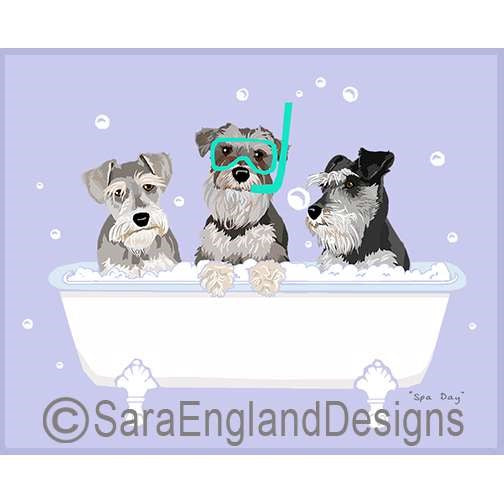 Schnauzer-Miniature - Spa Day - Two Versions - Natural Ears