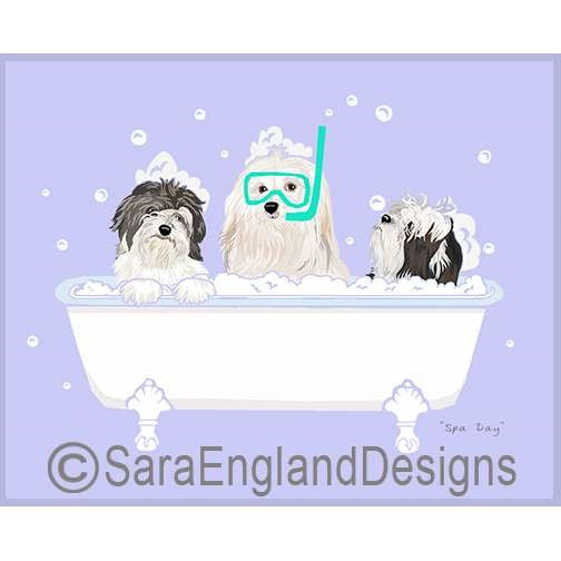 Havanese - Spa Day - Two Versions - One