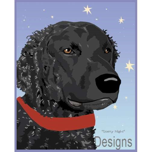 Curly Coated Retriever - Starry Night