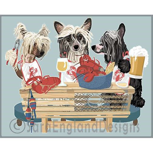 Chinese Crested - Lobster Feast