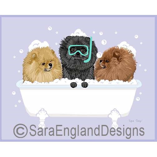 Pomeranian - Spa Day - Two Versions - Show