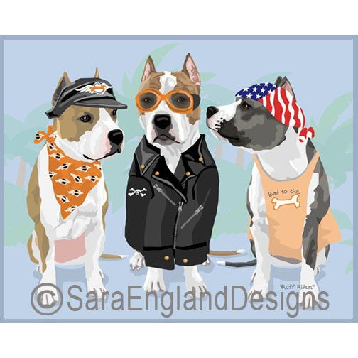 American Staffordshire Terrier - Ruff Riders