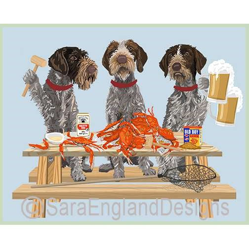 German Wirehaired Pointer - Crab Feast
