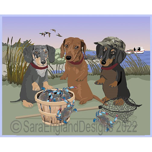 Dachshund-Smooth - Shore Dogs