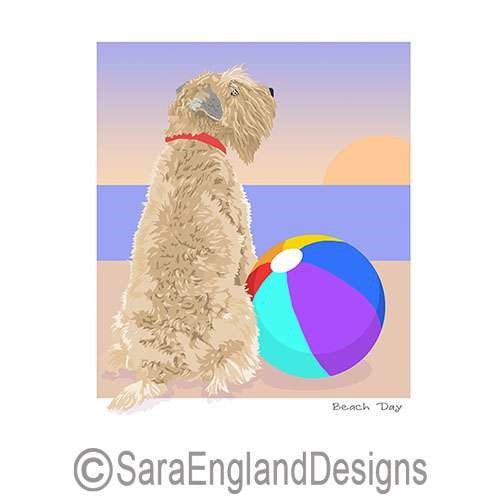 Soft Coated Wheaten Terrier - Beach Day