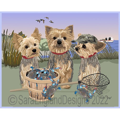 Yorkshire Terrier (Yorkie) - Shore Dogs