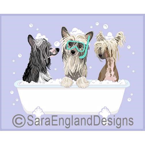 Chinese Crested - Spa Day