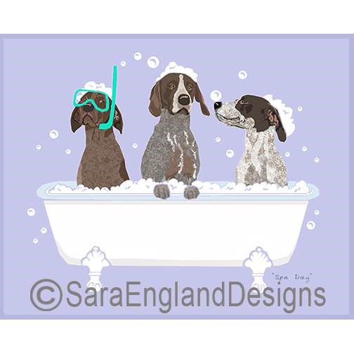 German Shorthaired Pointer - Spa Day