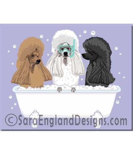 Poodle-Standard - Spa Day - Seven Versions - Mixed Show