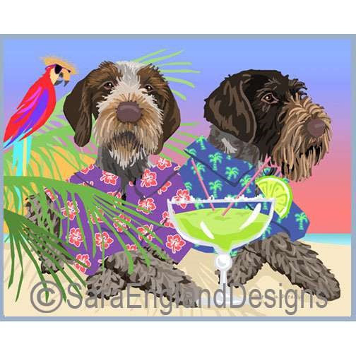 German Wirehaired Pointer - Paradise