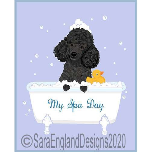 Poodle-Toy - My Spa Day