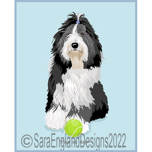 Bearded Collie - Play All Day
