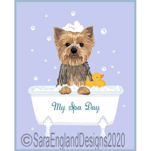Yorkshire Terrier (Yorkie) - My Spa Day