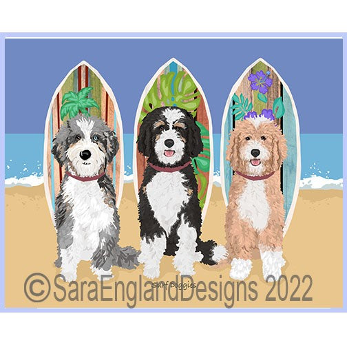 Doodle - Bernedoodle - Surf Doggies